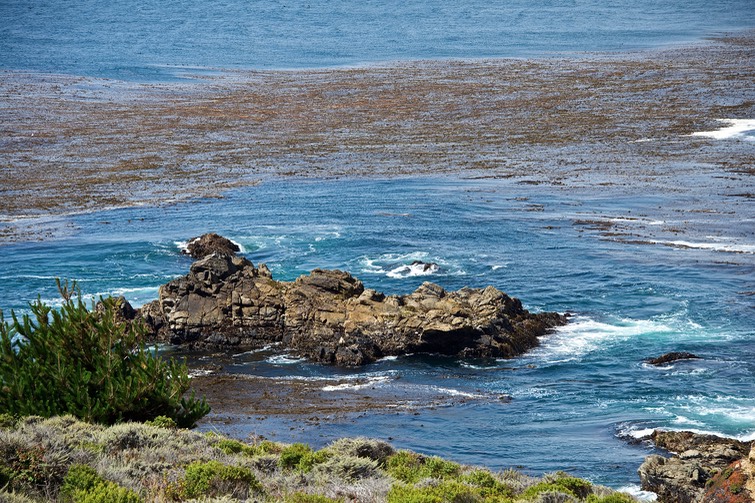 Carmel 2013 2