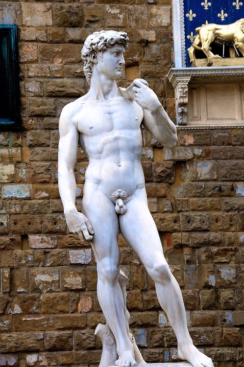 David No. 2