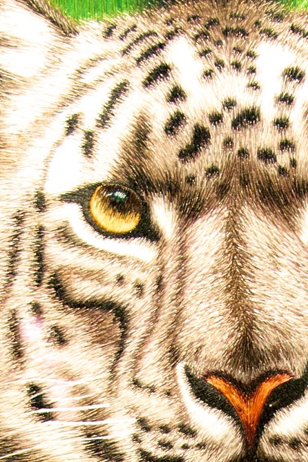 Detail of silk embroidery