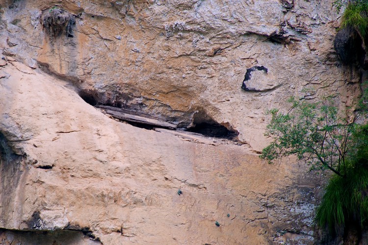 Lesser Gorge - Ba hanging coffin
