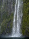 Milford Sound falls