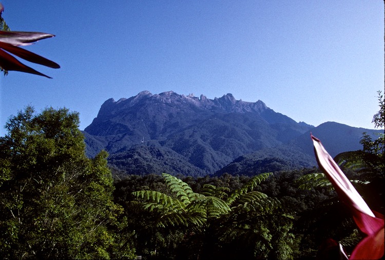 Mt. Kotakinabalu 1992