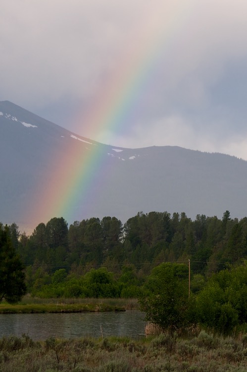 Pot of gold?