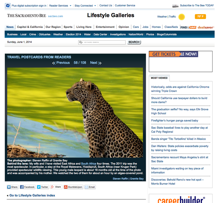 Royal Malewane Leopard_1
