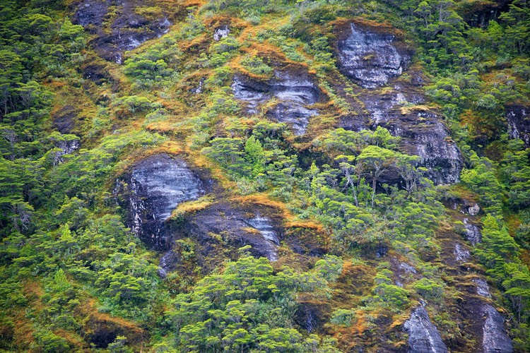 South America_Seabourn_2012-13  103