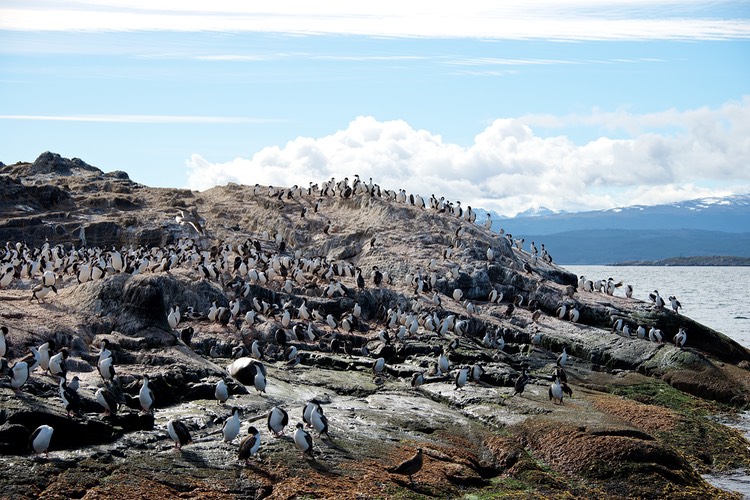South America_Seabourn_2012-13  118