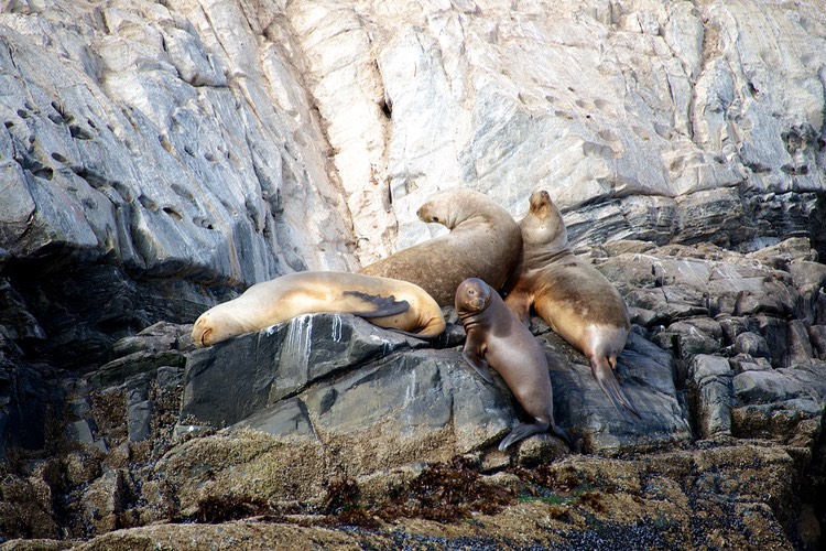 South America_Seabourn_2012-13  127