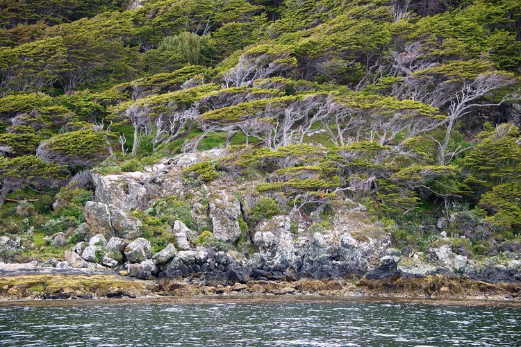 South America_Seabourn_2012-13  147