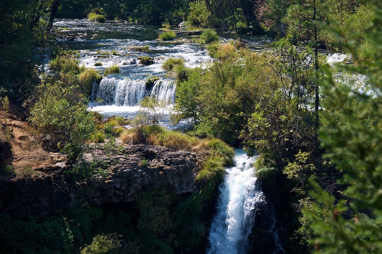Burney Creek 1 2012