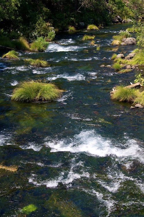 Burney Creek 3 2012