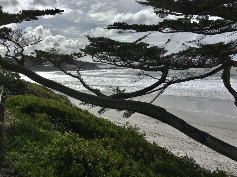 Carmel Beach