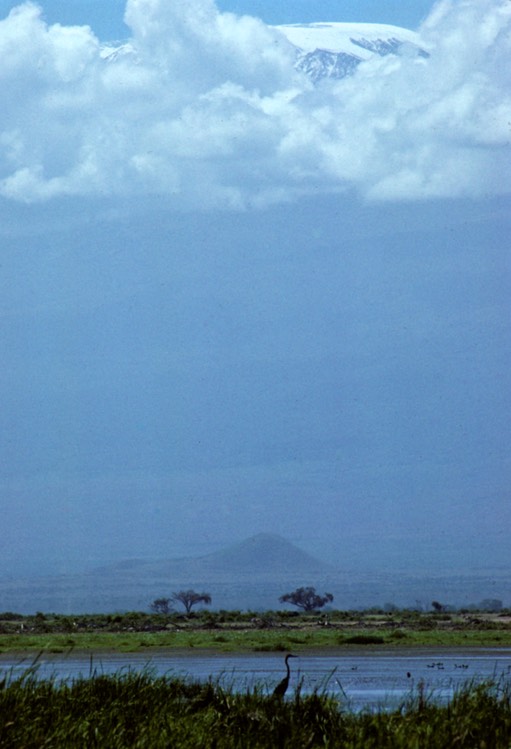 EA 1988 268