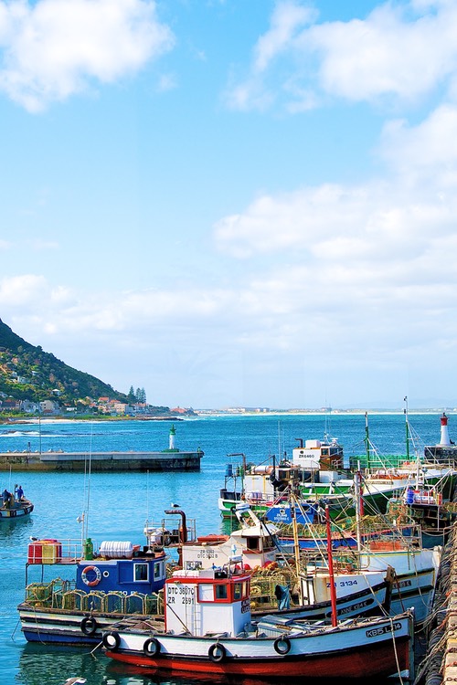 Fishing fleet on west Cape coast