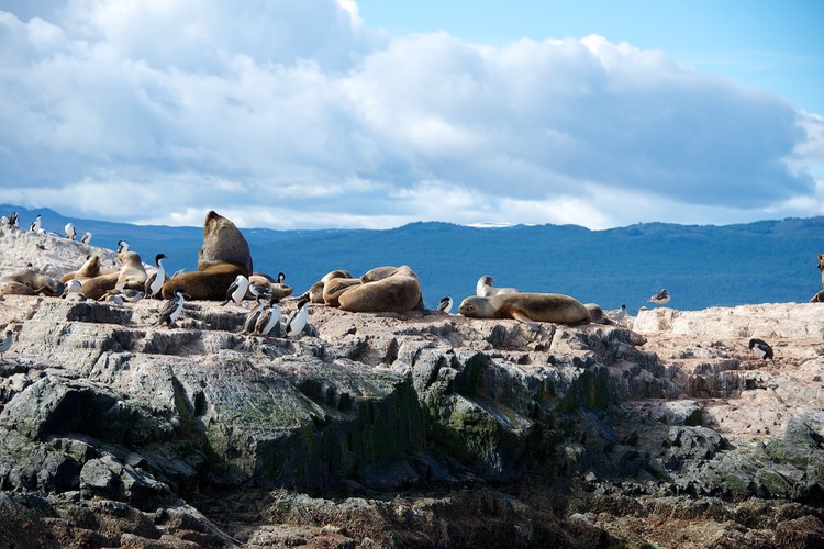 South America_Seabourn_2012-13  120
